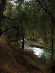 Creek in San Dimas Canyon