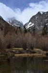 Trout pond at Glacier Lodge