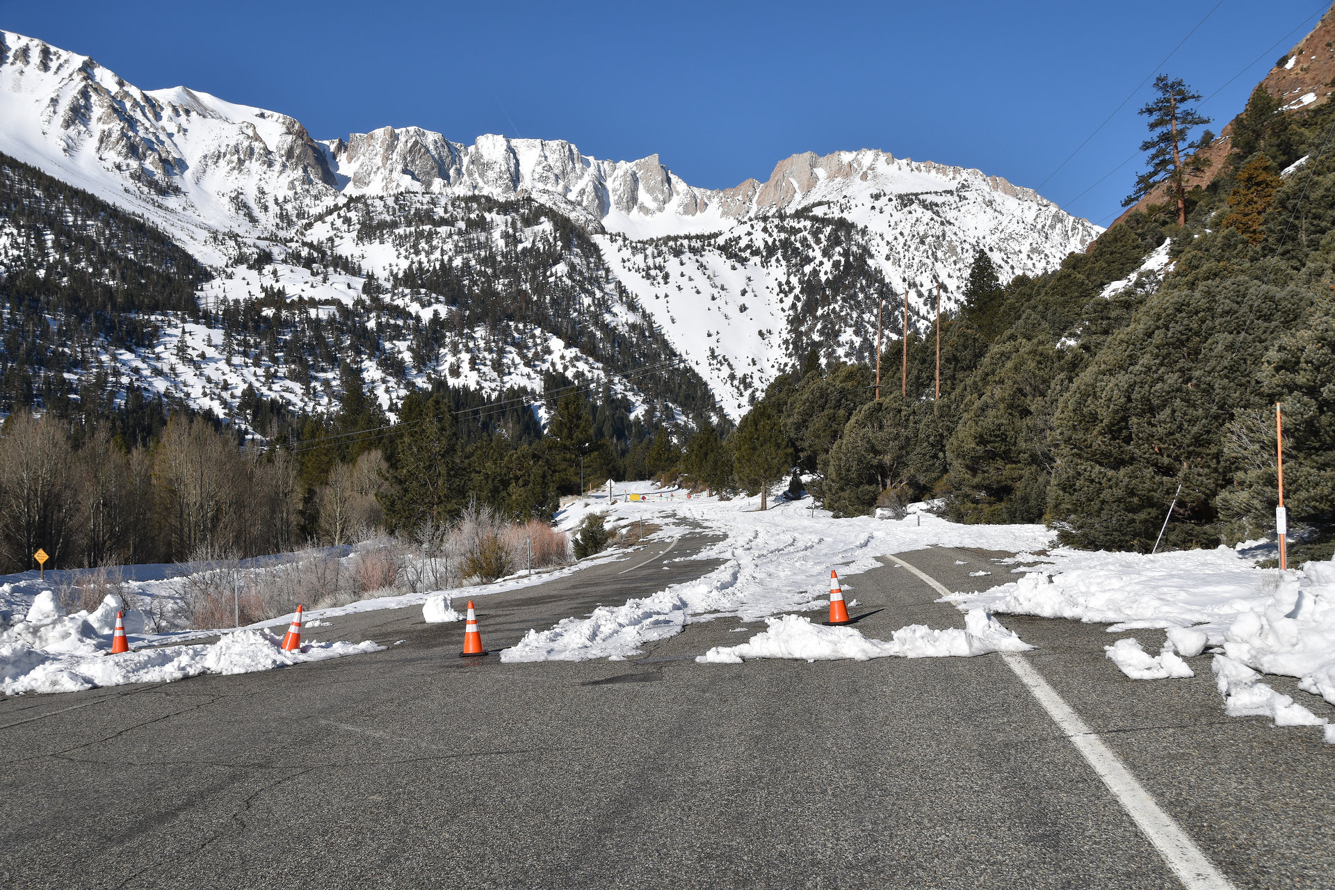 Tioga Road