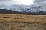 Farm land at Fish Springs