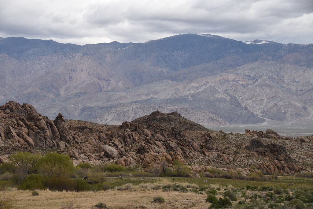 Inyo Mountains from the Alabama Hills