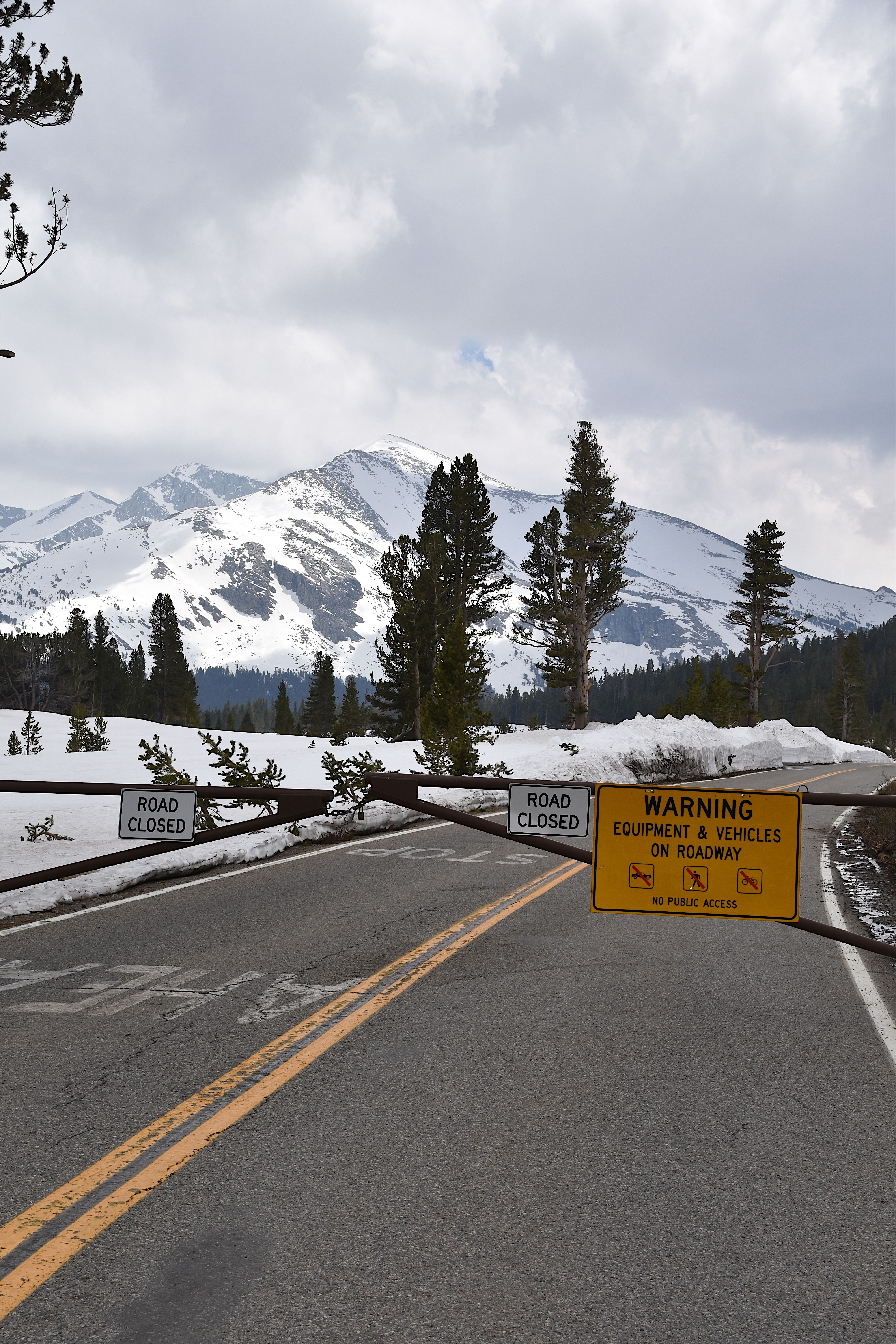 Tioga Road is Closed