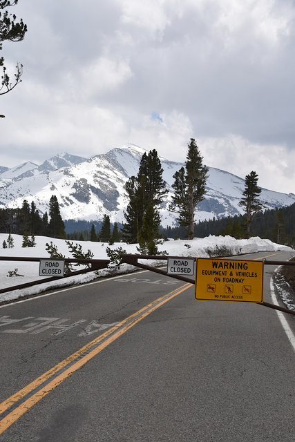Tioga Road is Closed