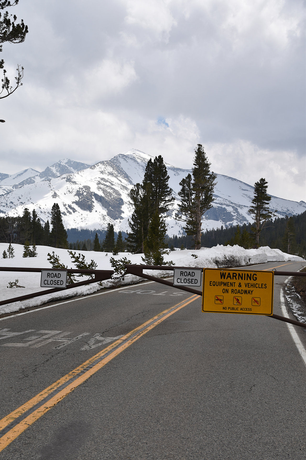 Tioga Road is Closed