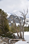 Looking towards Mount Dana from Tioga Pass