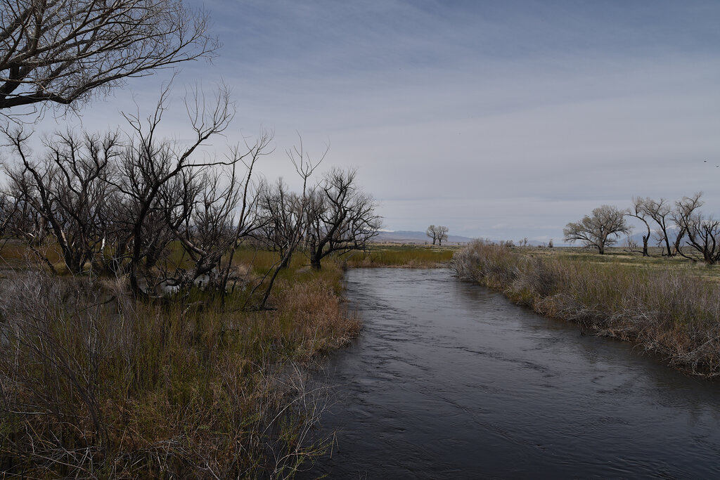 Owens River running full