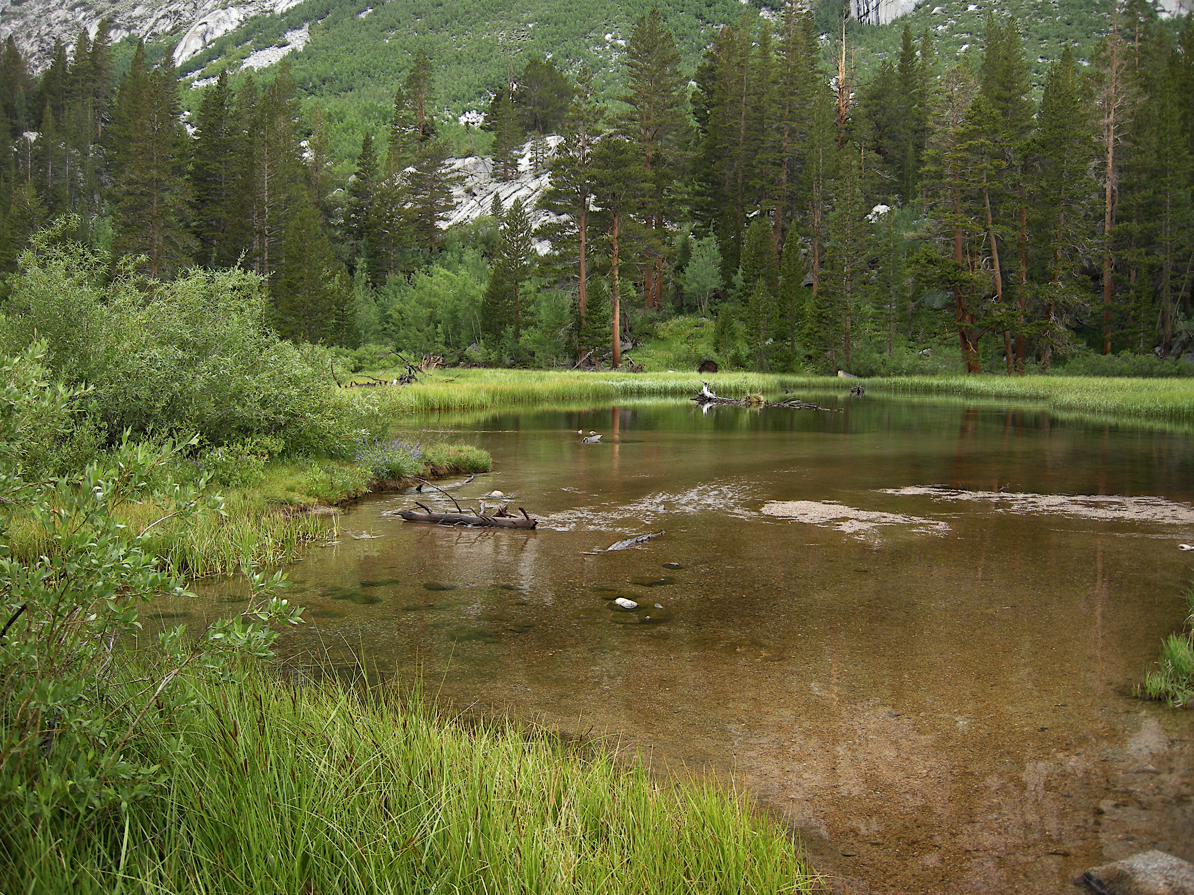 South Fork Bishop Creek