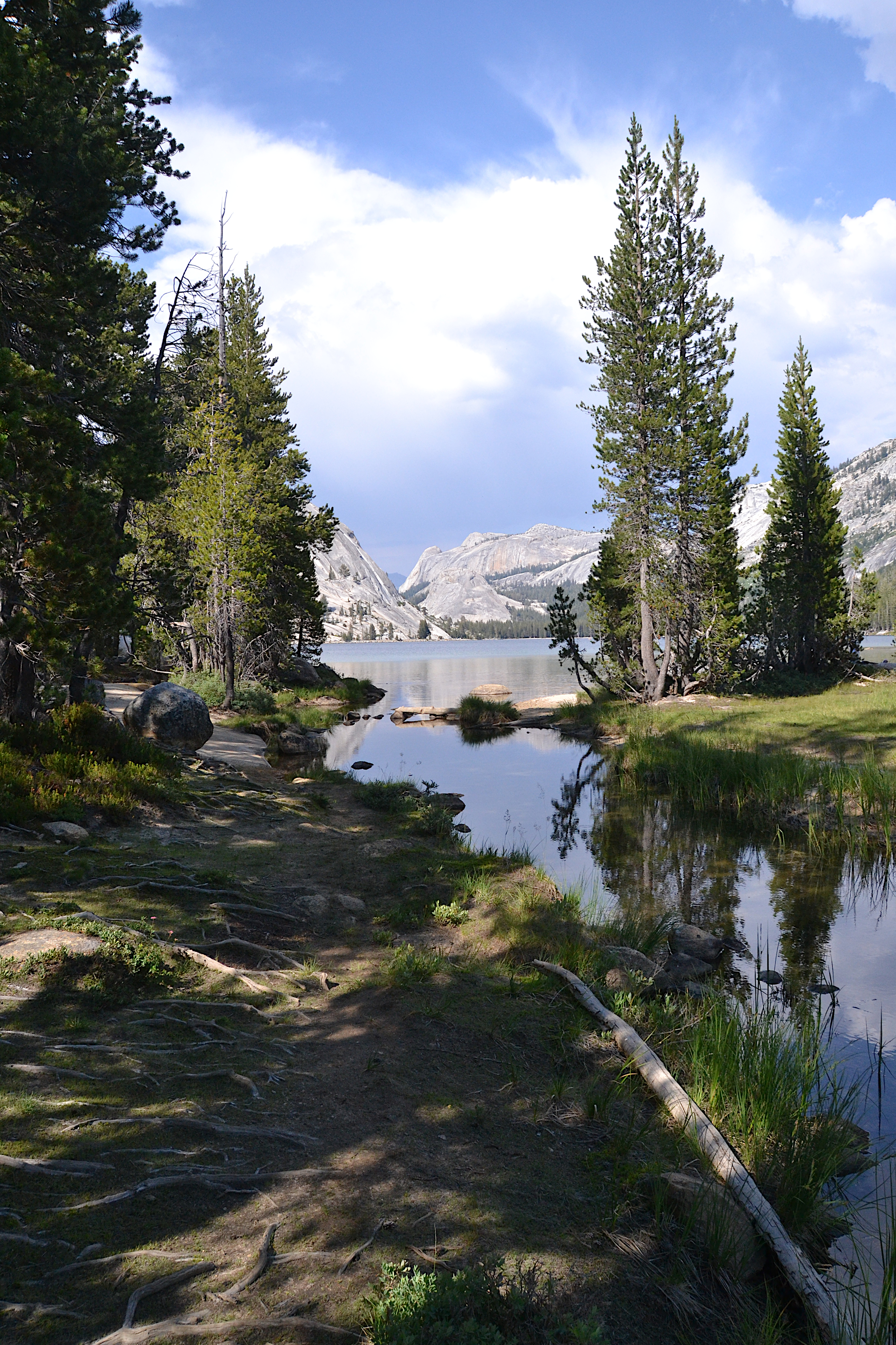 Tenaya Lake Outlet