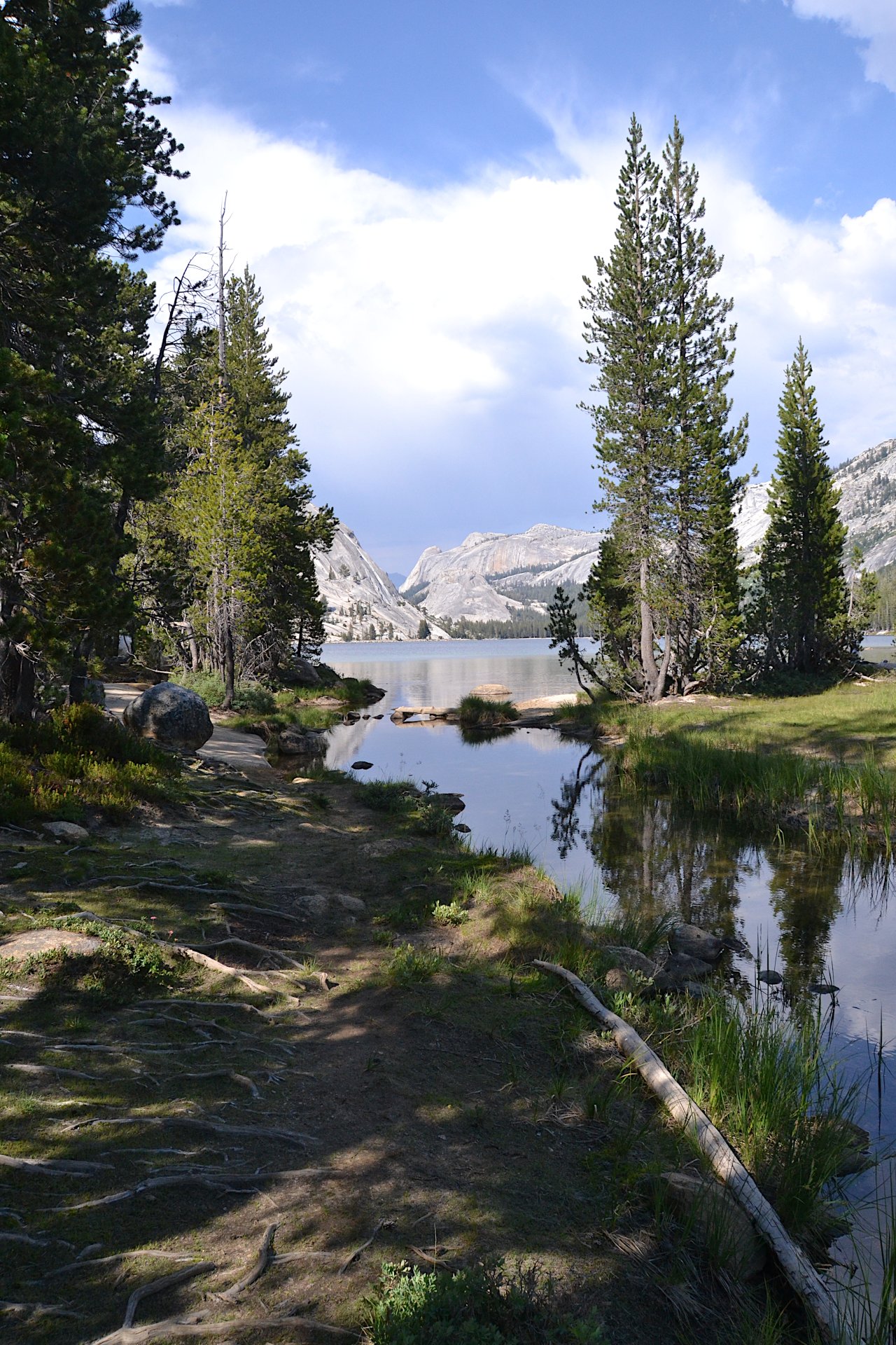 Tenaya Lake Outlet