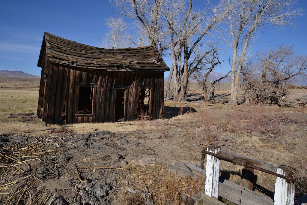 Old shack