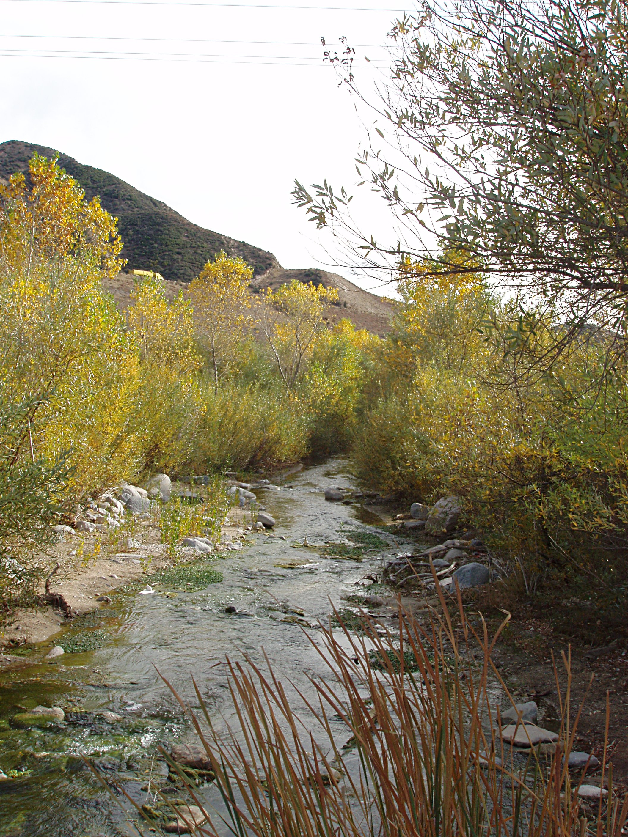 Cajon Creek