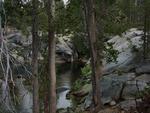 Yosemite Creek