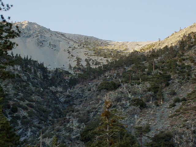 Look Up At Baldy Bowl