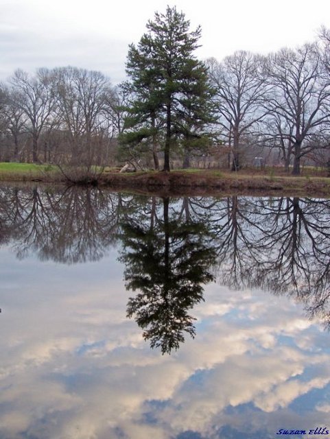 Winter at our Pond