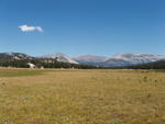 Tuolumne Meadows in August