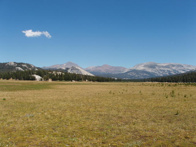 Tuolumne Meadows in August