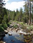 Yosemite Creek