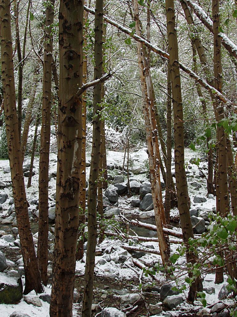 San Antonio Creek