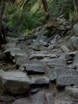 Steps on the Mist Trail