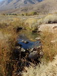 Another pool at Keough Hot Springs