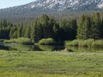 Tuolumne Meadows