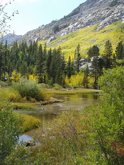 South Fork Bishop Creek