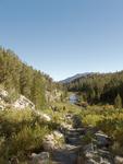 Rock Creek Above Mosquito Flats