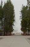 Old Faithful erupted just as we parked