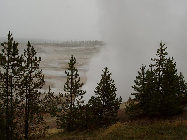 Norris Geyser Basin