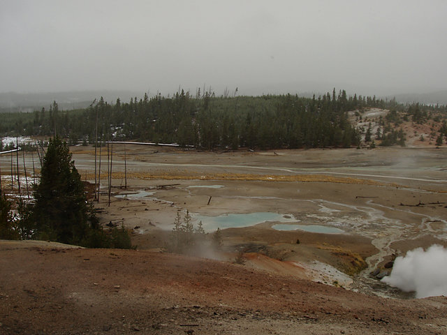 Norris Geyser Basin