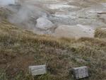 Ledge Geyser - Norris Geyser Basin