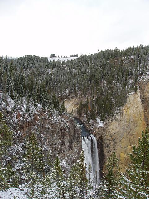 Lower Yellowstone Falls