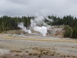 Ledge Geyser and Black Growler Steam Vent, Porcelain Basin, Norris