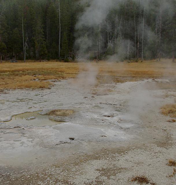 Aurum Geyser