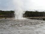 Oblong Geyser