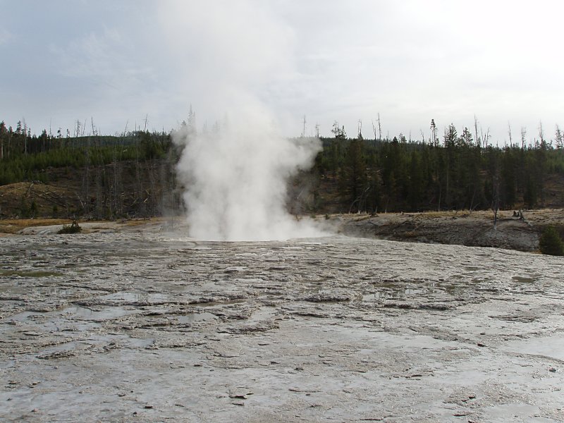 Oblong Geyser