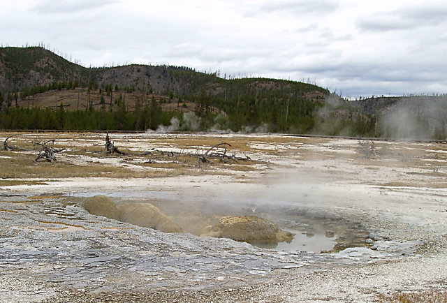 Jewel Geyser