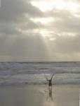 Huntington Beach in February Cartwheel