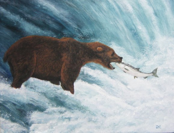 Bear & Salmon