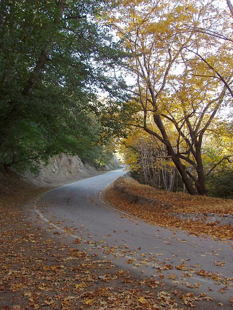 Yes, Virginia, California Does Have Autumn