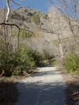 The Old Road to Mt. Baldy