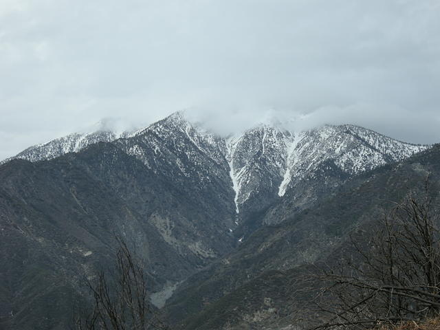 Old Baldy