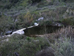 Water Diversion at San Dimas Canyon