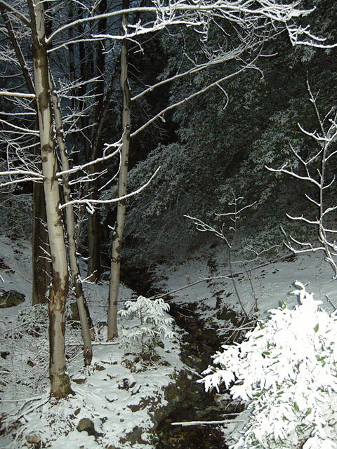 Snowy Creek