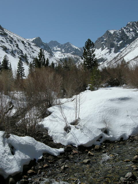 Spring View from Glacier Lodge