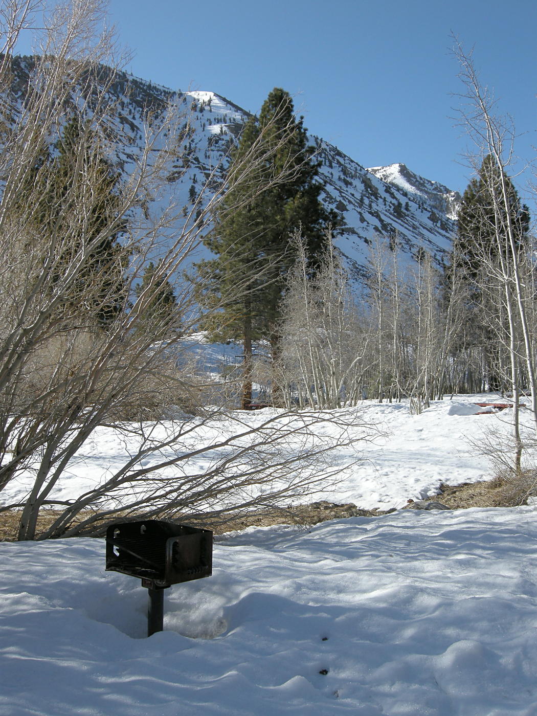 Campsite off Highway 168