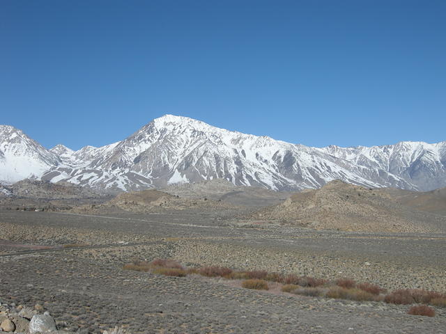 Mount Tom