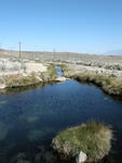 Pool at Keough Hot Springs