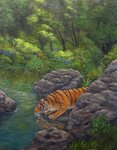Tiger Drinking