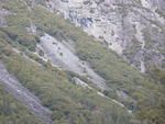 Part of the Big Oak Flat Trail